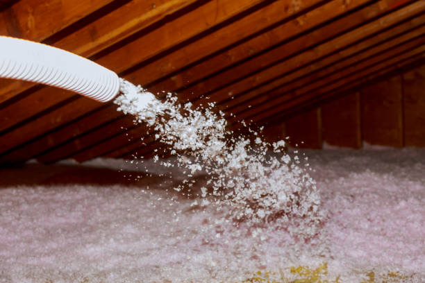 Best Residential Insulation in Harrington, DE