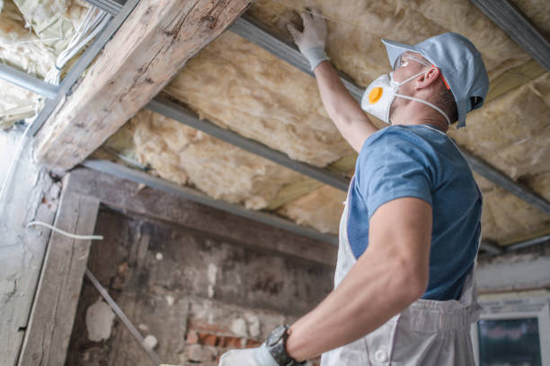 Trusted Harrington, DE Insulation Contractor Experts