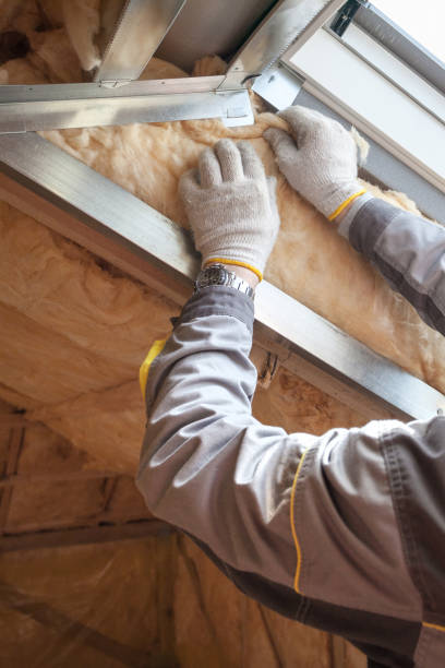 Best Spray Foam Insulation in Harrington, DE