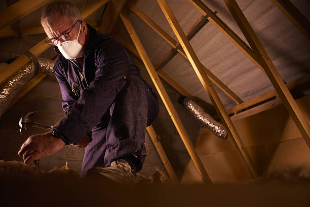 Types of Insulation We Offer in Harrington, DE